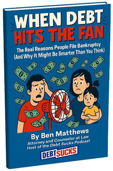 When debt hits the fan book cover